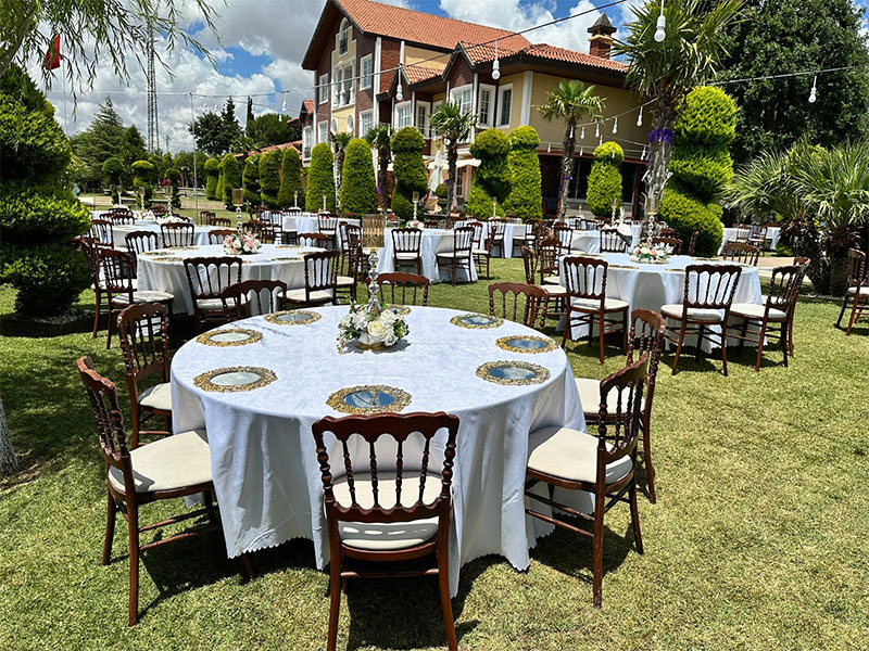 Kahverengi Napolyon Sandalye Kiralama