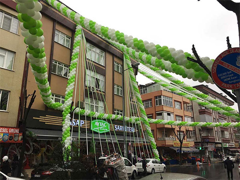 Açılış Organizasyonu